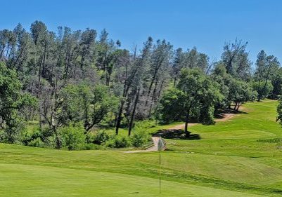 2-green-500px