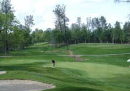 tierra oaks golf club - 11 green