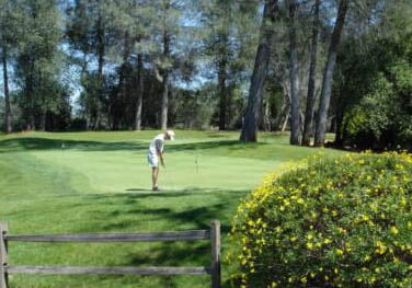 tierra oaks golf club - practice putting green