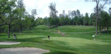 tierra oaks golf club - 11 green