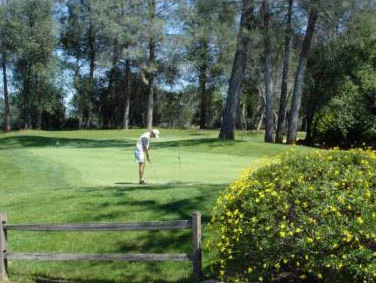 tierra oaks golf club - practice putting green